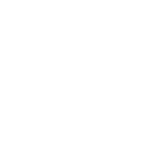      Volkswagen  -   106 .