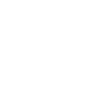      AZLK logo -   84 .