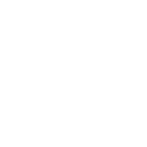        -   161 .