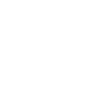      VIVO -   14 .