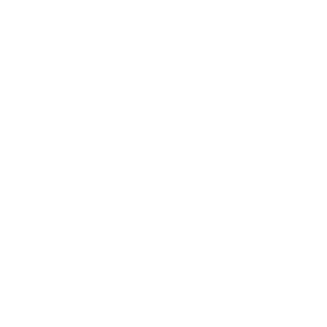         -   161 .