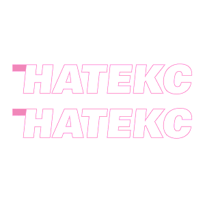 Наклейка «НАТЕКС»