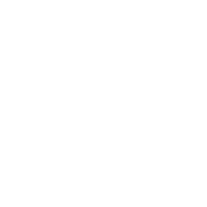      - -   133 .