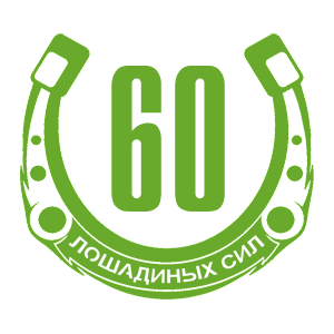 60  