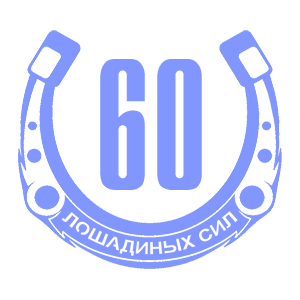  60  