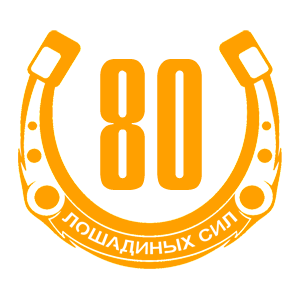  80  