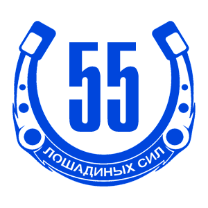  55  