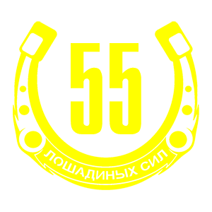  55  