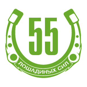  55  