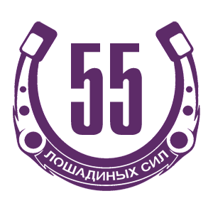  55  