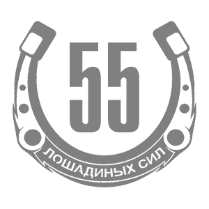  55  
