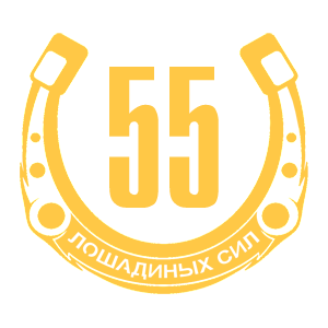  55  