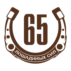  65  