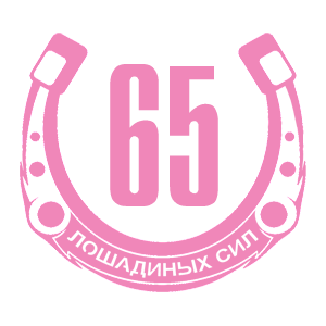  65  