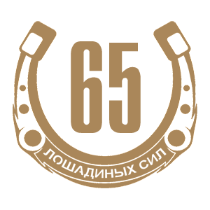  65  