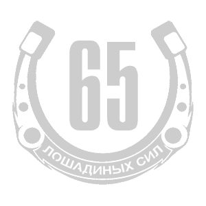  65  