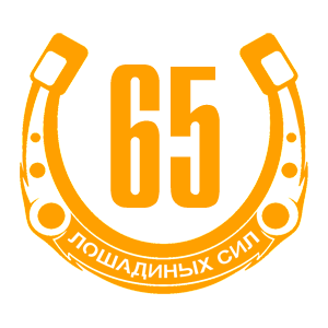  65  