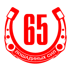  65  