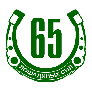  65  