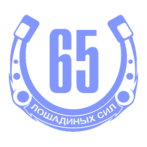  65  
