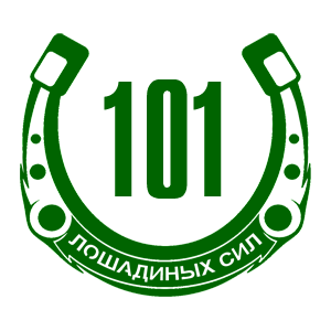  101  