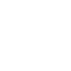         -   133 .