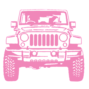      Jeep Wrangler -   207 .