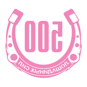      500   -   98 .