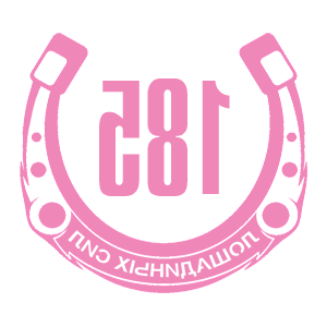      185   -   98 .