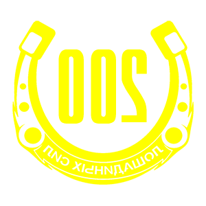      200   -   98 .