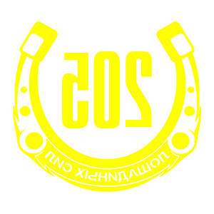      205   -   98 .