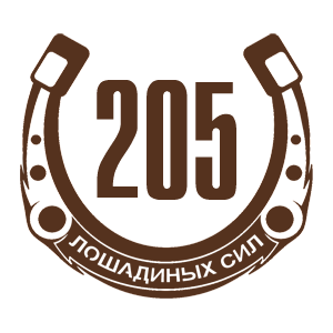   205   -   98 .