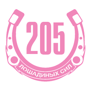   205   -   98 .
