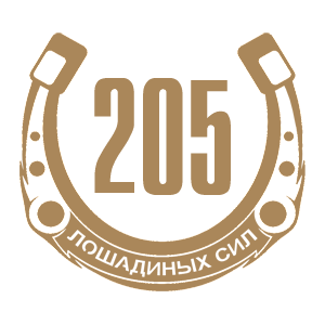 -  205   -   98 .