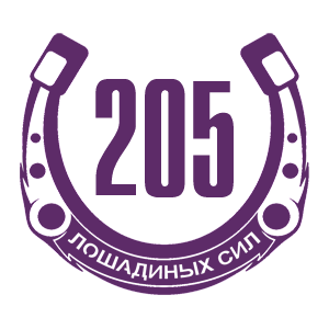   205   -   98 .