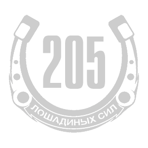   205   -   98 .