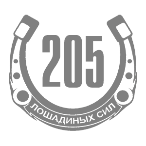   205   -   98 .