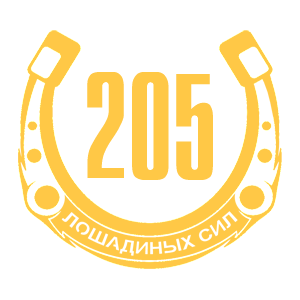   205   -   98 .