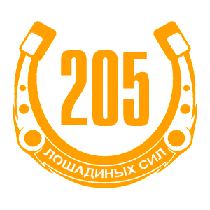   205   -   98 .