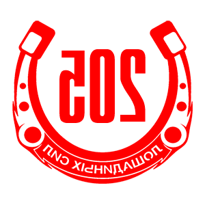      205   -   98 .