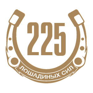 -  225   -   98 .