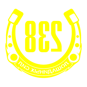     238   -   98 .