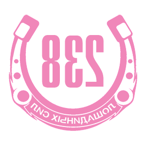      238   -   98 .
