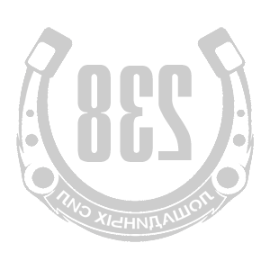      238   -   98 .
