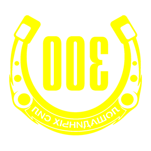      300   -   98 .