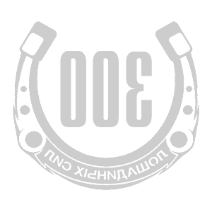      300   -   98 .