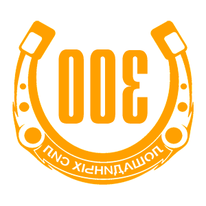      300   -   98 .