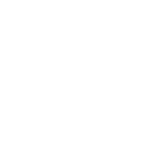          -   133 .