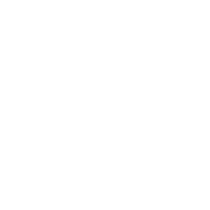  λ