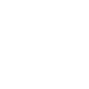  λ